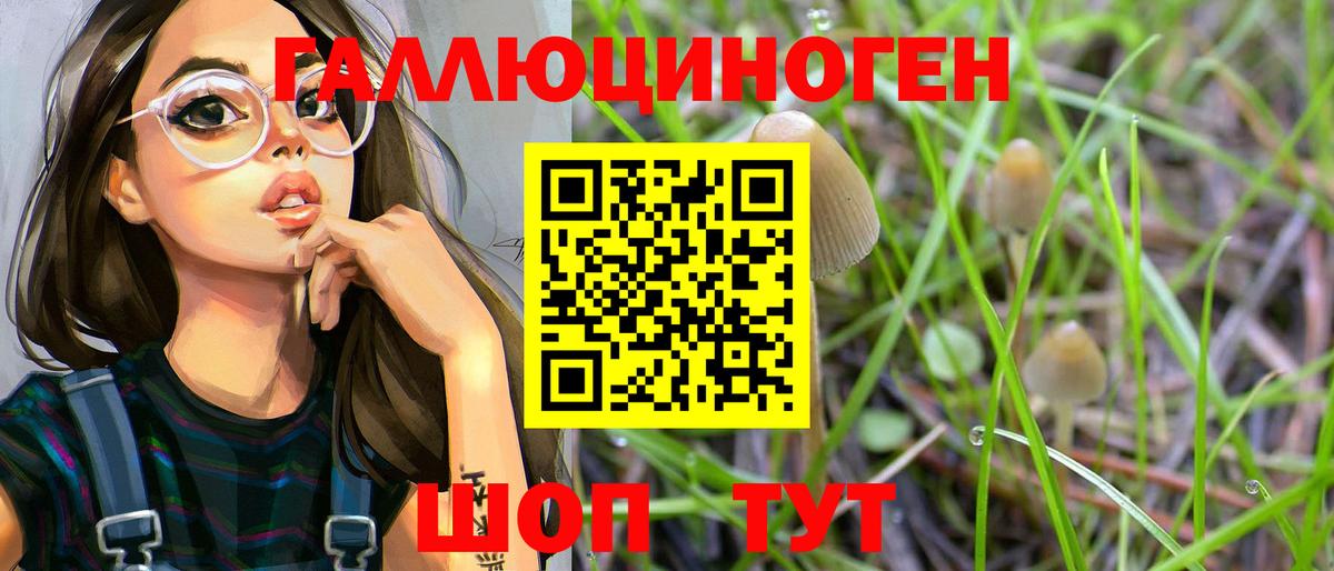 Псилоцибиновые грибы Psilocybe  Вход с VPN  Миасс 